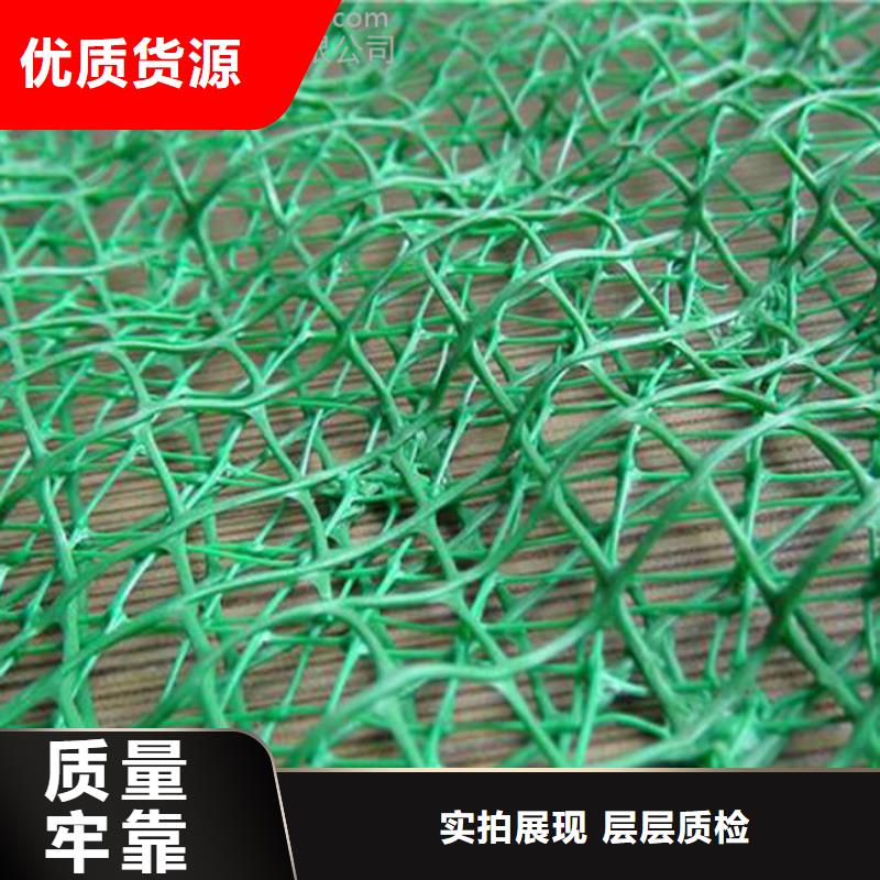 三维植被网【凸结点钢塑土工格栅】多种工艺现货满足大量采购