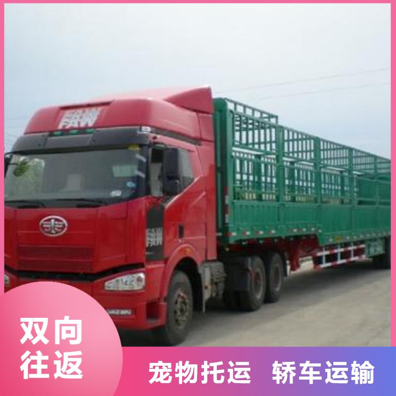 泰安物流乐从到泰安货运专线公司货运直达大件冷藏回头车便利快捷
