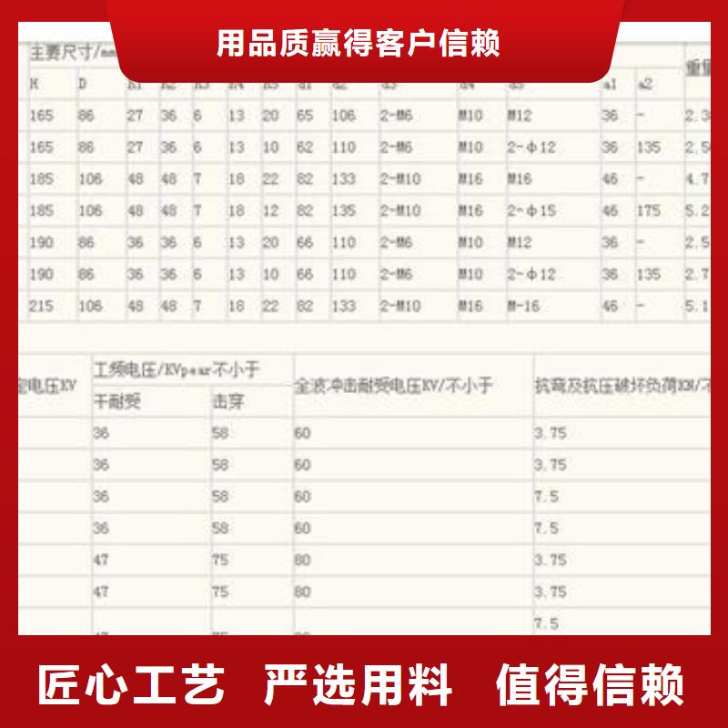 绝缘子多年经验值得信赖当地公司