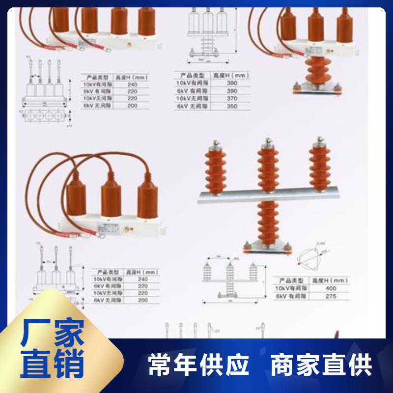 过电压保护器氧化锌避雷器生产厂家种类齐全支持定制批发