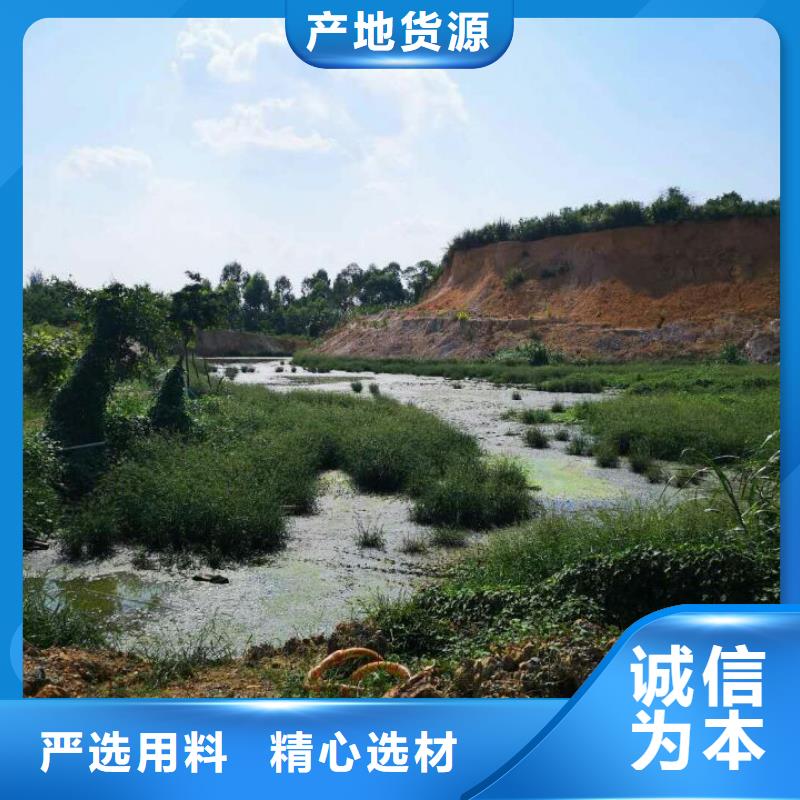 【污泥处理】土壤固化剂来电咨询本地服务商