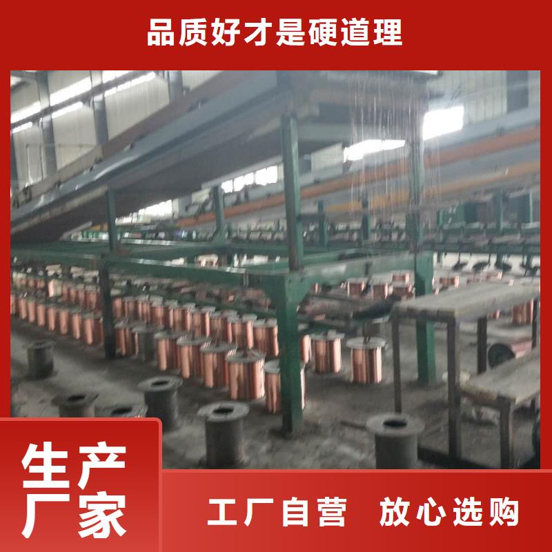 【铜绞线-紫铜带种类丰富】同城生产商