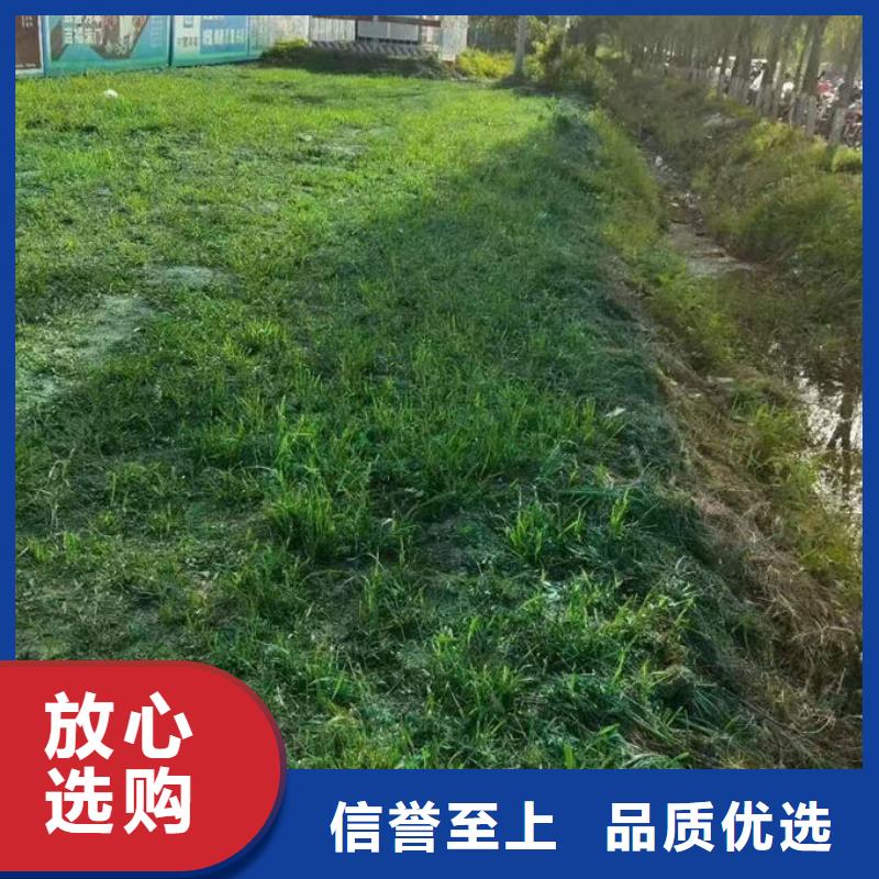 铁路抑尘剂专业生产设备本地制造商