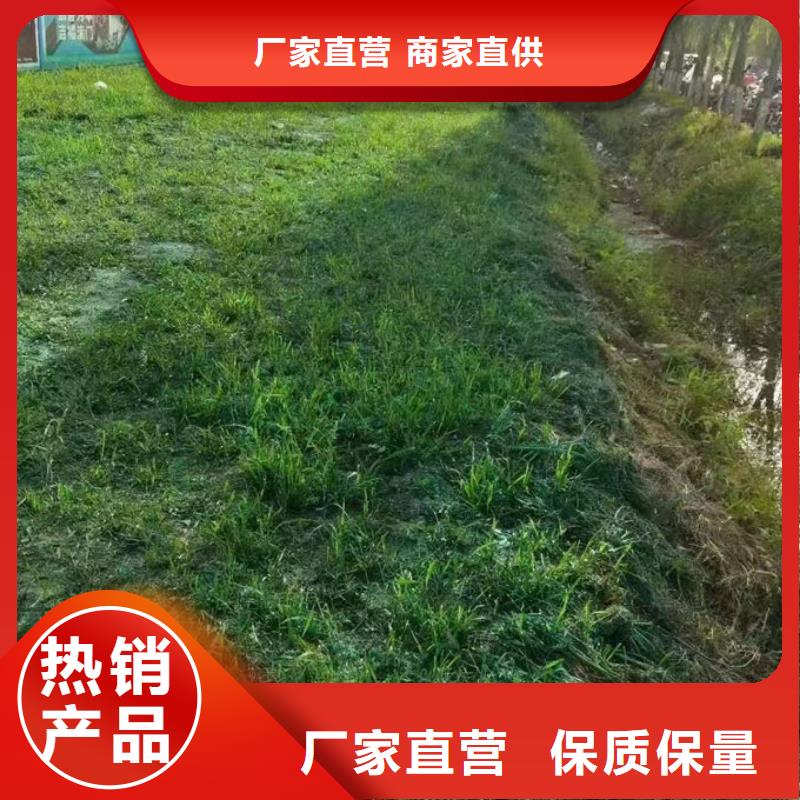 大气污染治理抑尘剂产地工厂厂家直销省心省钱