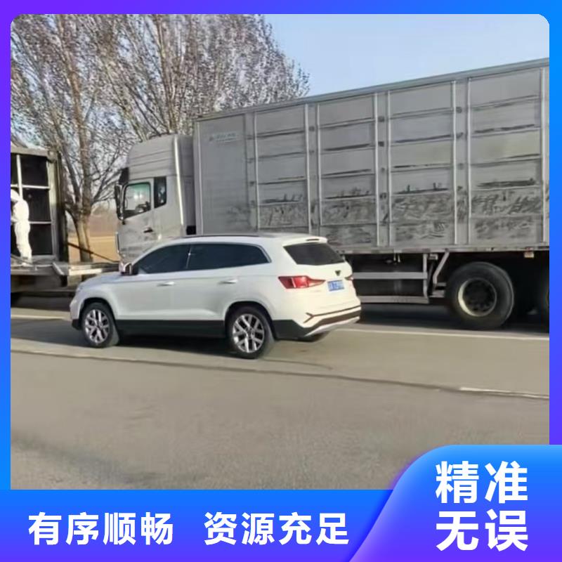 宿迁市泗阳到上海生猪空调车运输资质齐全