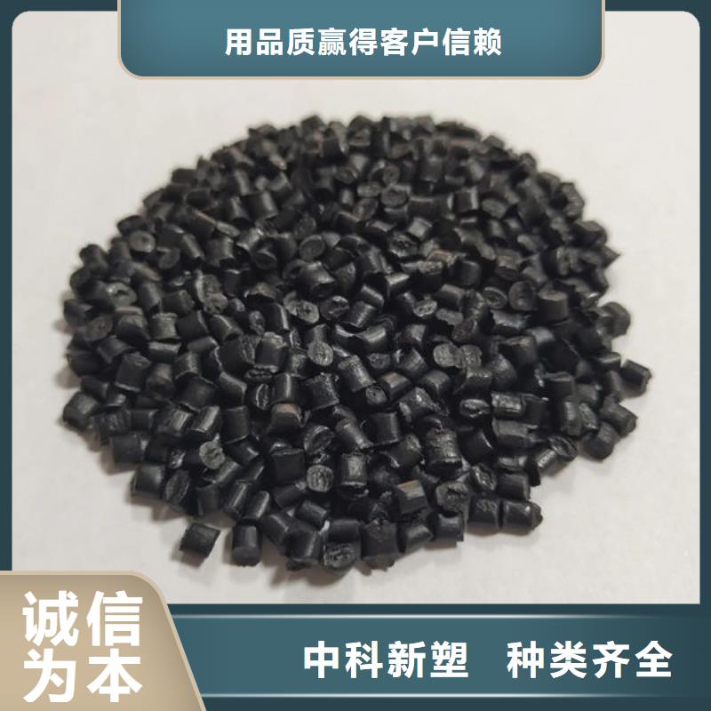 /FJ904284.html