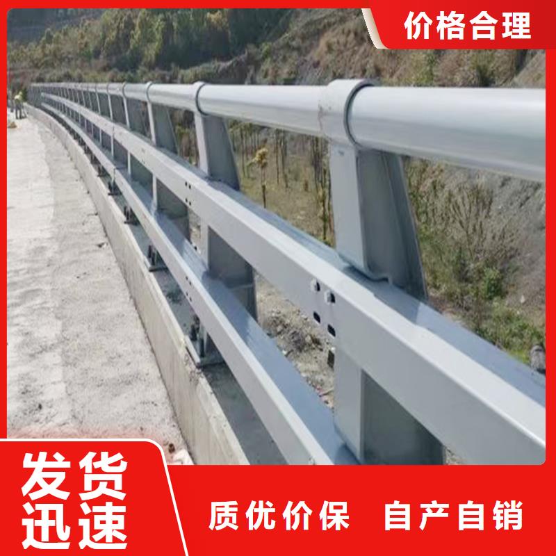 道路灯光护栏支持批发本地厂家