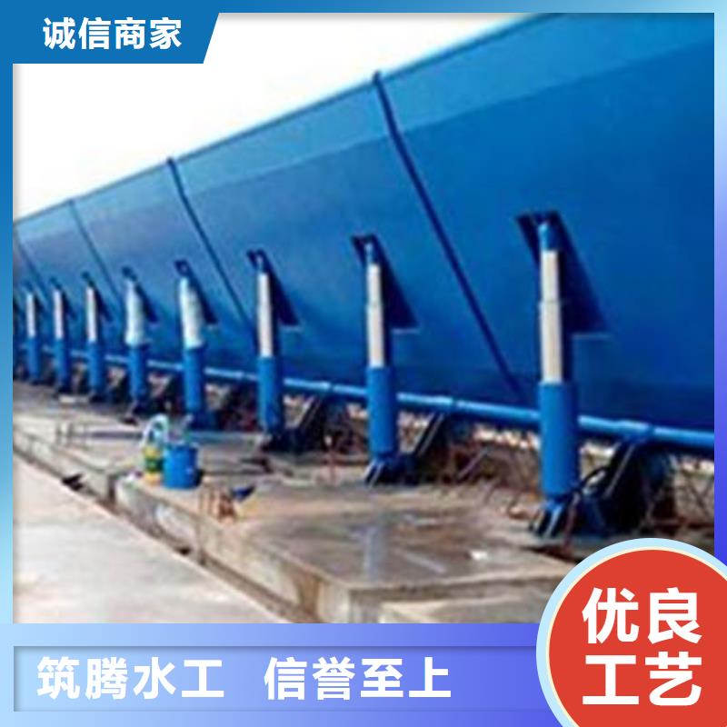 液压式翻板闸门厂家型号齐全敢与同行比服务