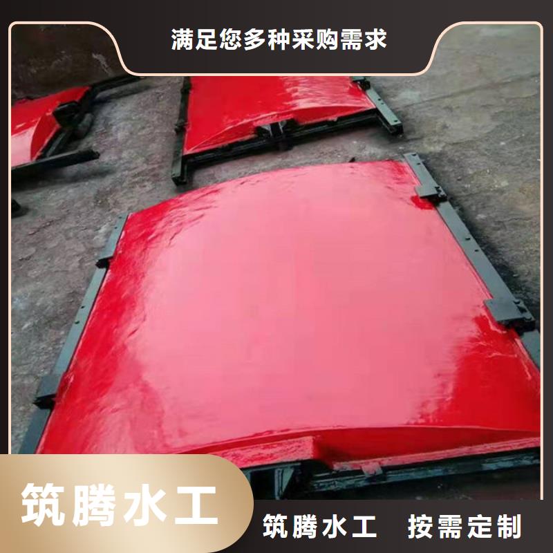 平面铸铁闸门诚信为本买的放心安兴用的舒心