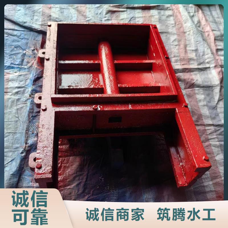 渠道闸门型号齐全本地制造商