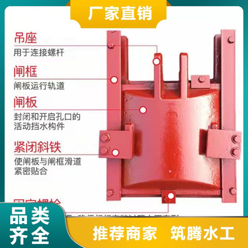 泵站铸铁闸门诚信为本同城生产商