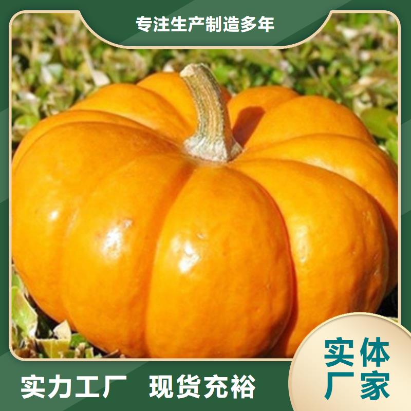 南瓜丁南瓜粉厂家N年专注同城经销商