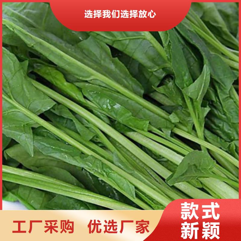 菠菜粉放心选择附近公司