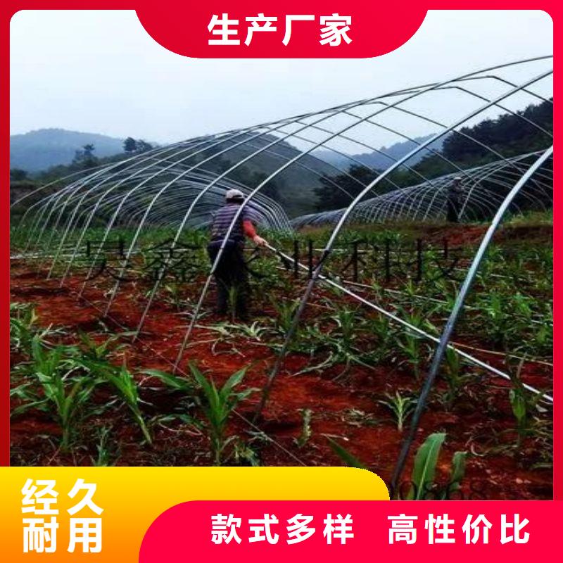 大棚管2-连栋大棚管实拍品质保障本地品牌