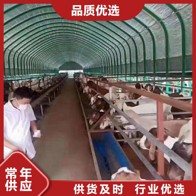 【大棚管】温室大棚管常年供应满足客户所需
