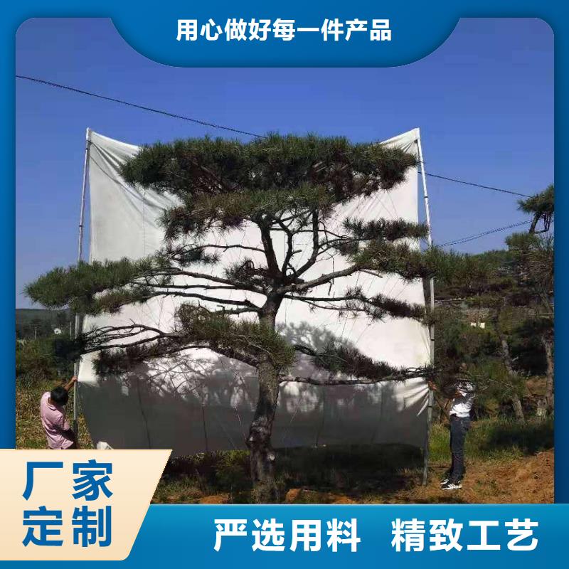 /FH462603.html