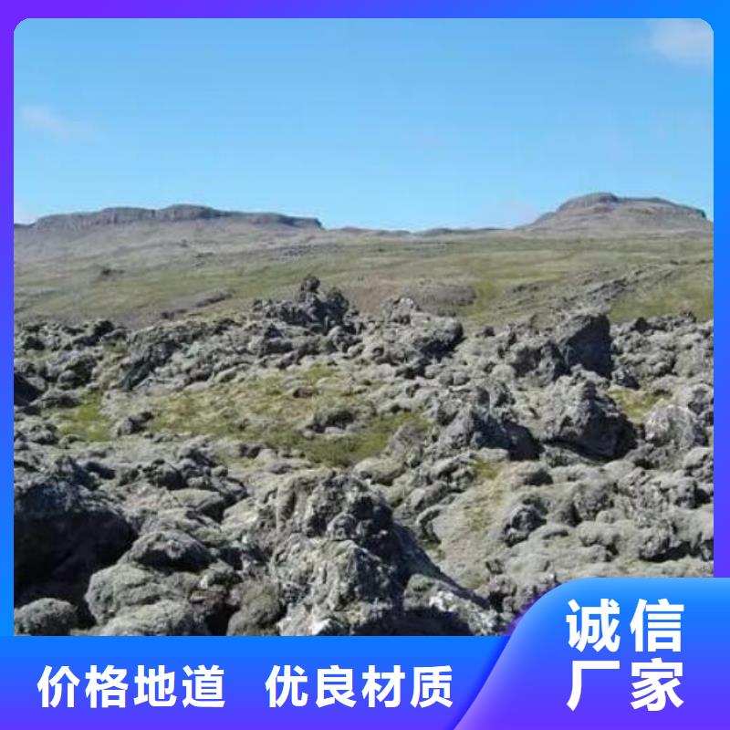 【活山岩】-椰壳活性炭客户满意度高生产型