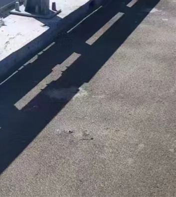 桥梁护栏不用防撞护栏厂以质量求生存