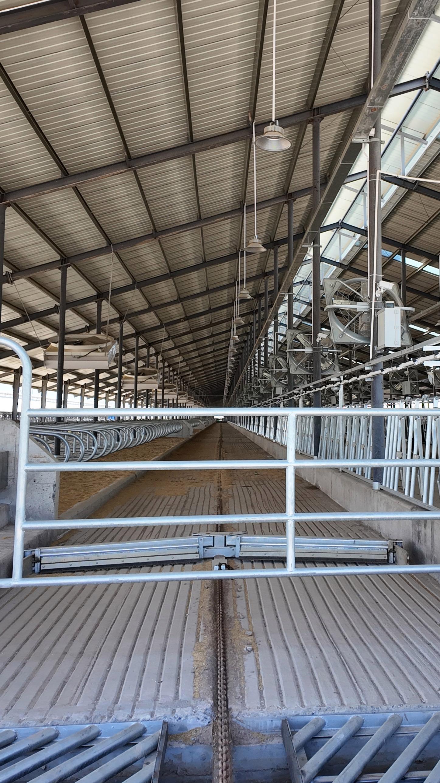 多层清粪机大型鸡场适用