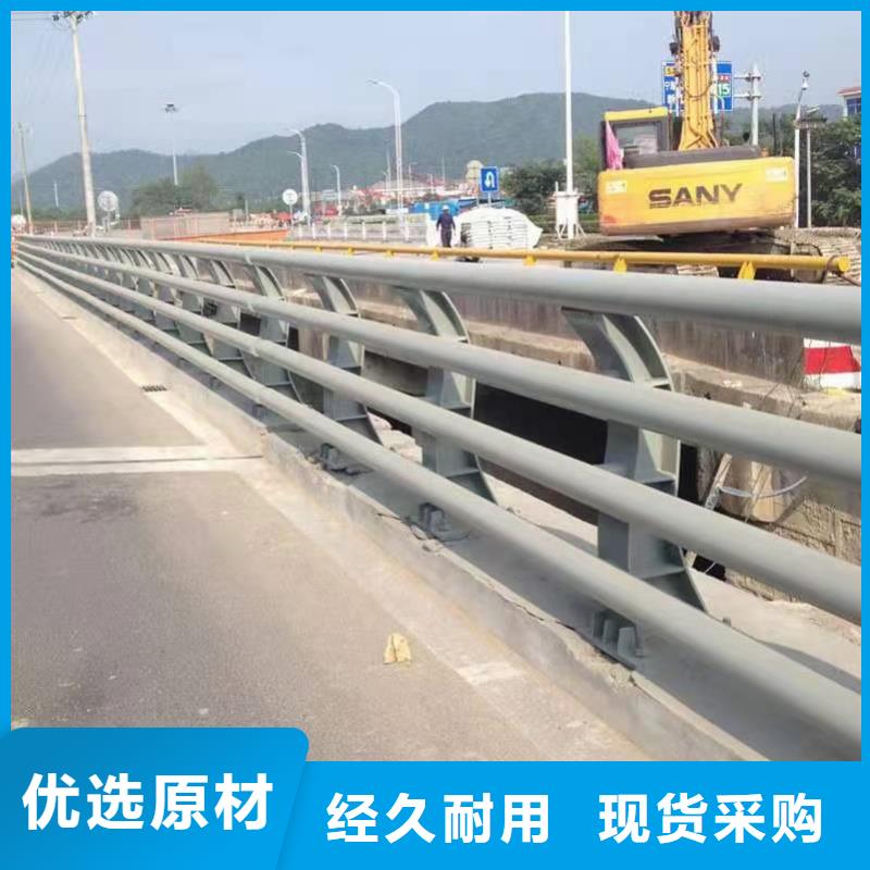 道路护栏,河道护栏实力才是硬道理厂家经验丰富