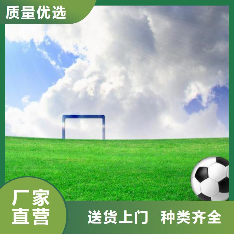 塑胶跑道【PVC地板厂家施工】放心得选择质量为本