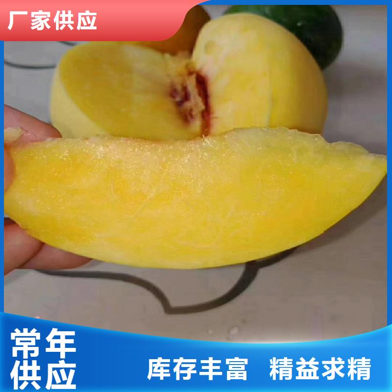 桃,李树苗专注生产N年快速物流发货