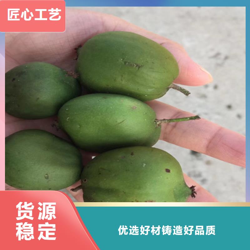 【猕猴桃】,樱桃苗工厂采购规格型号全