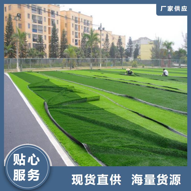 人造草坪复合型塑胶EPDM海量货源N年大品牌