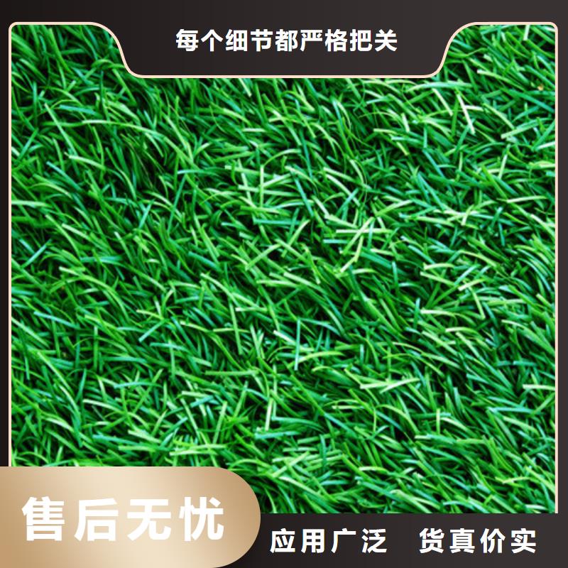 人造草坪塑胶跑道施工值得买性价比高