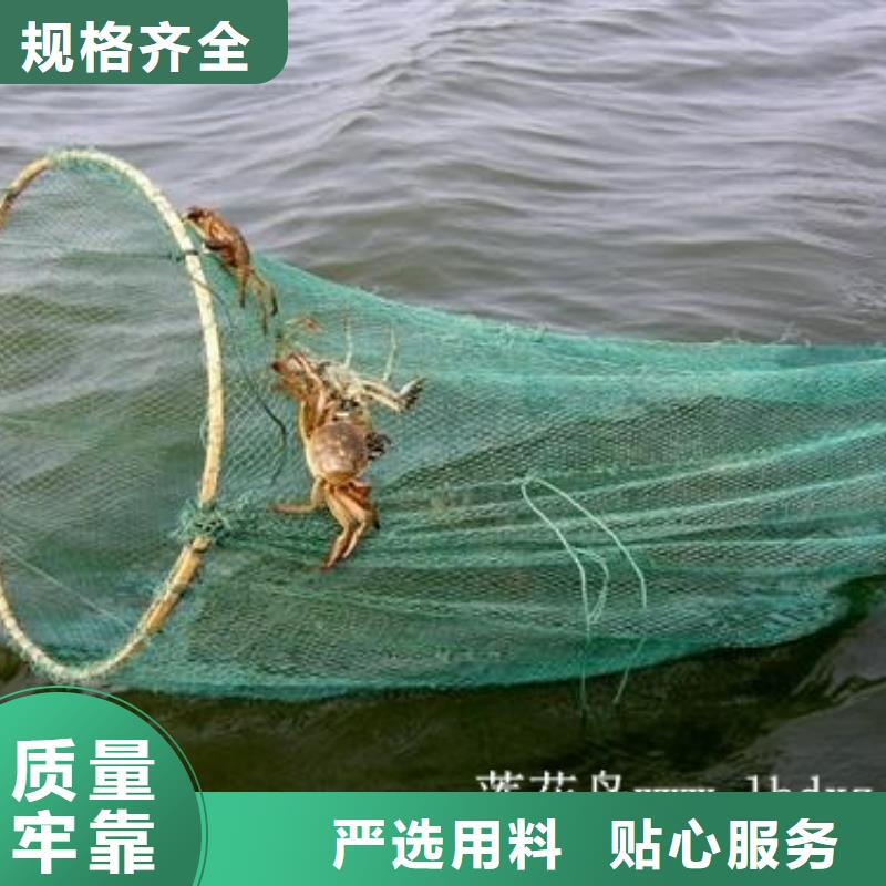 阳澄湖买蟹哪家好苏州这里好好产品好服务