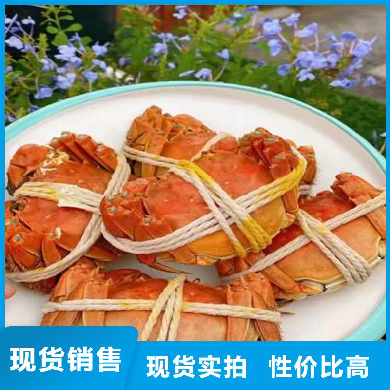 去阳澄湖买蟹哪里正宗在苏州阳澄湖厂家直销规格多样