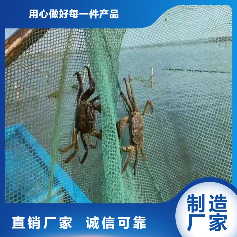 去阳澄湖买大闸蟹哪里好在苏州阳澄湖实力厂家直销