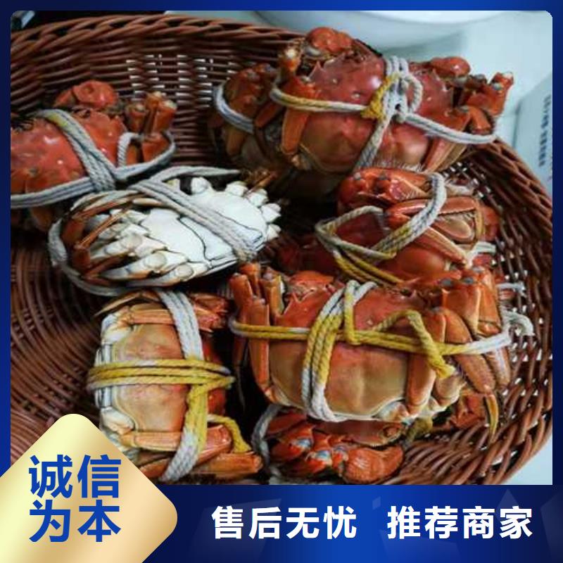 苏州阳澄湖农家乐多少钱好吃精品优选