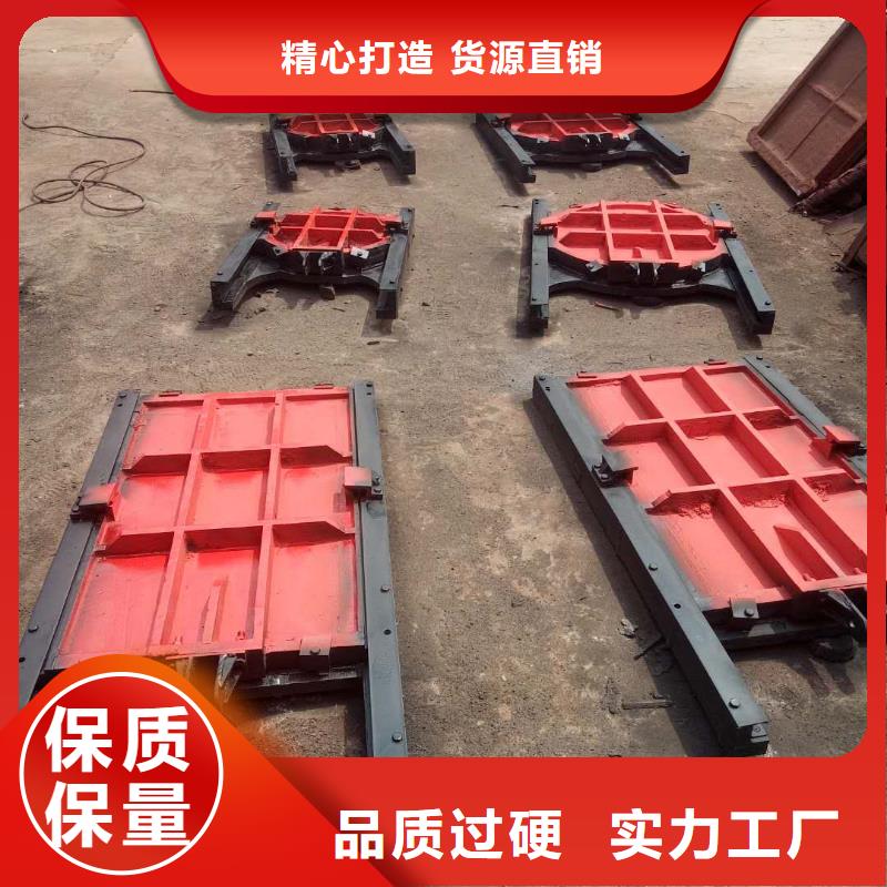启闭机闸门-p型止水带闸门水封精益求精厂家实力雄厚