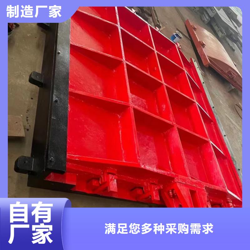 铸铁镶铜闸门-镶铜双向铸铁闸门精益求精当地品牌