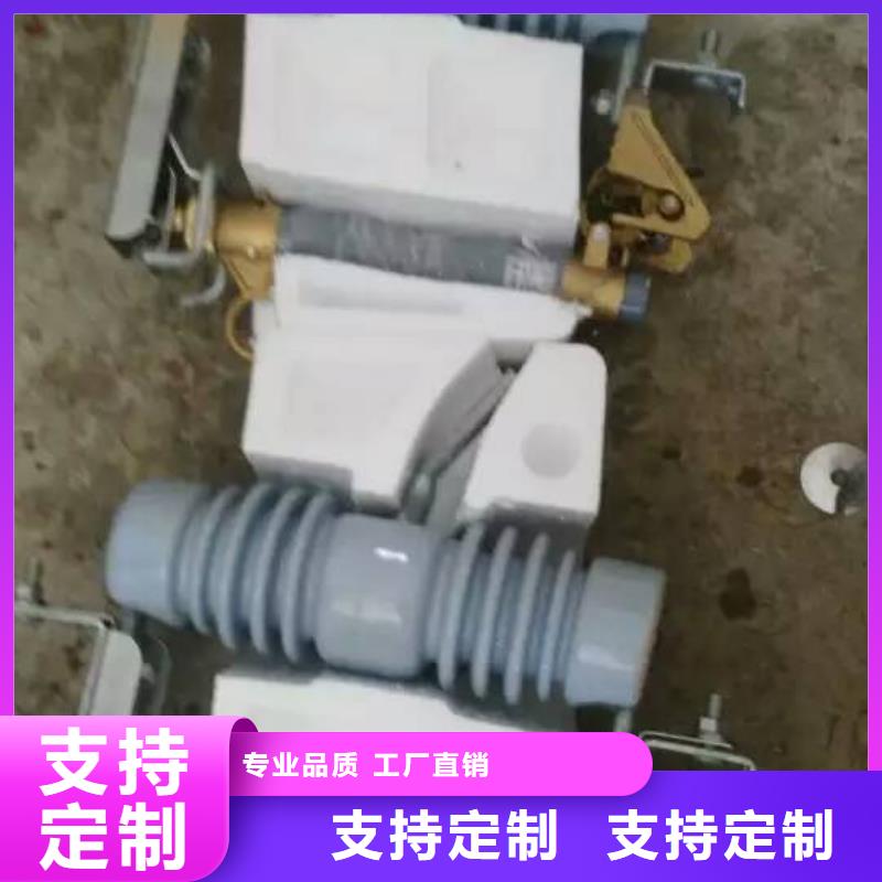 熔断器金属氧化物避雷器买的是放心实体诚信厂家