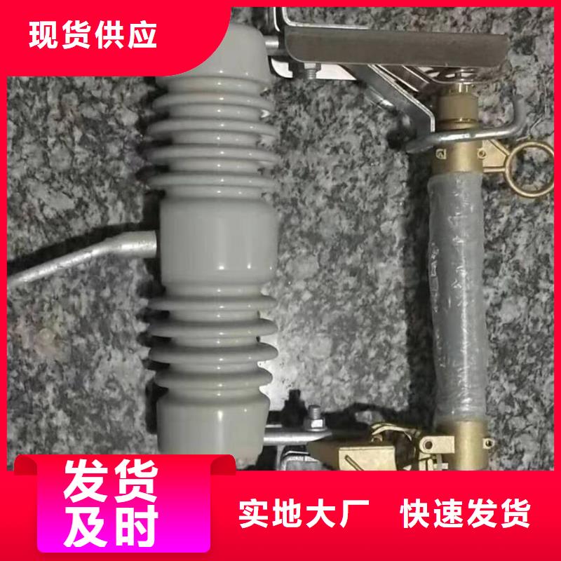 熔断器金属氧化物避雷器品质有保障同城经销商