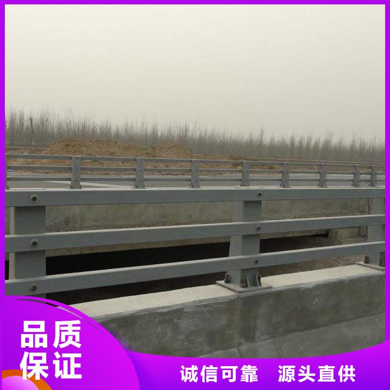 护栏,桥梁护栏现货多年经验值得信赖