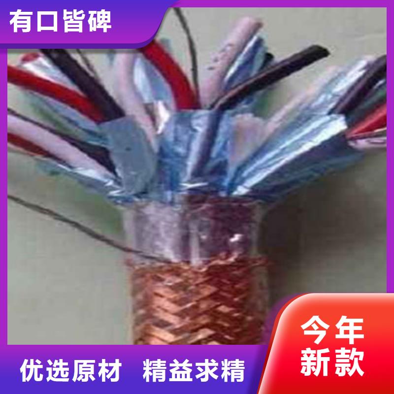 计算机电缆电缆生产厂家当地厂家值得信赖让利客户