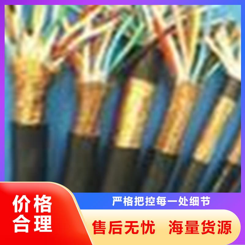 计算机电缆,屏蔽电缆厂家售后完善好产品放心购