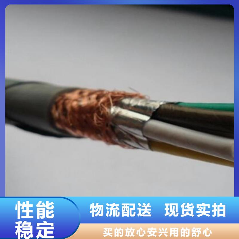 计算机电缆_电缆生产厂家应用广泛源厂供货