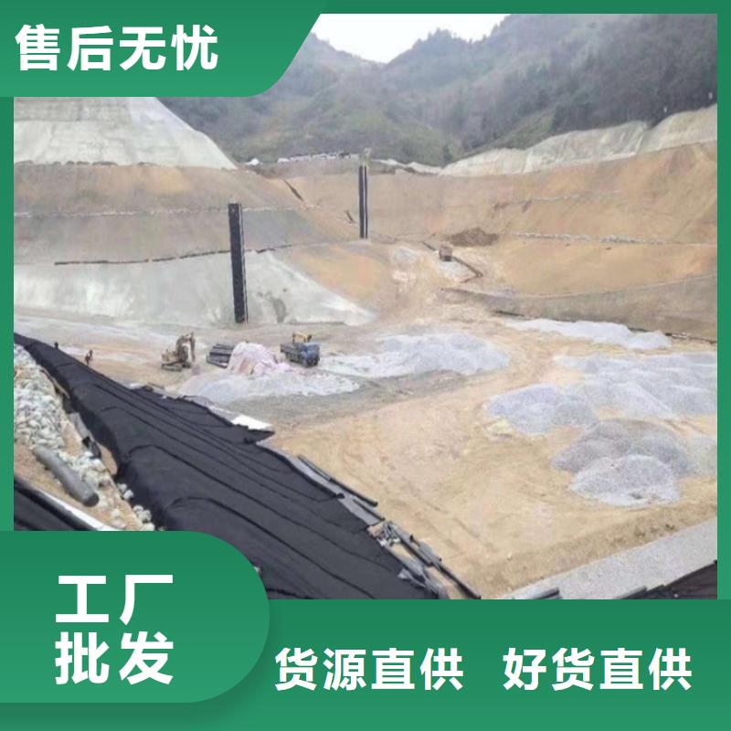 土工膜种类丰富当地供应商