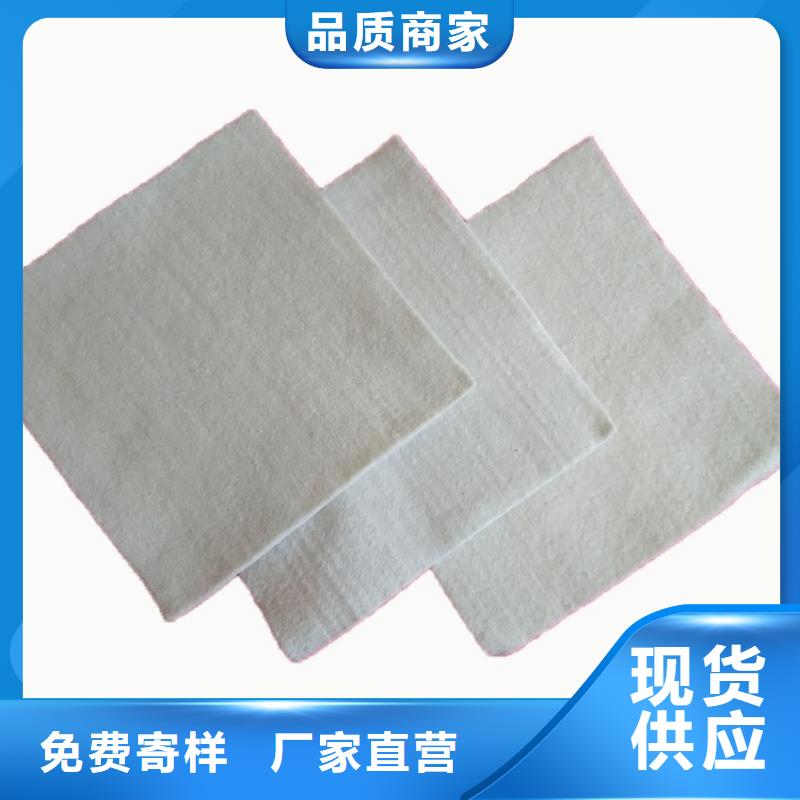 土工布_土工膜全新升级品质保障同城经销商