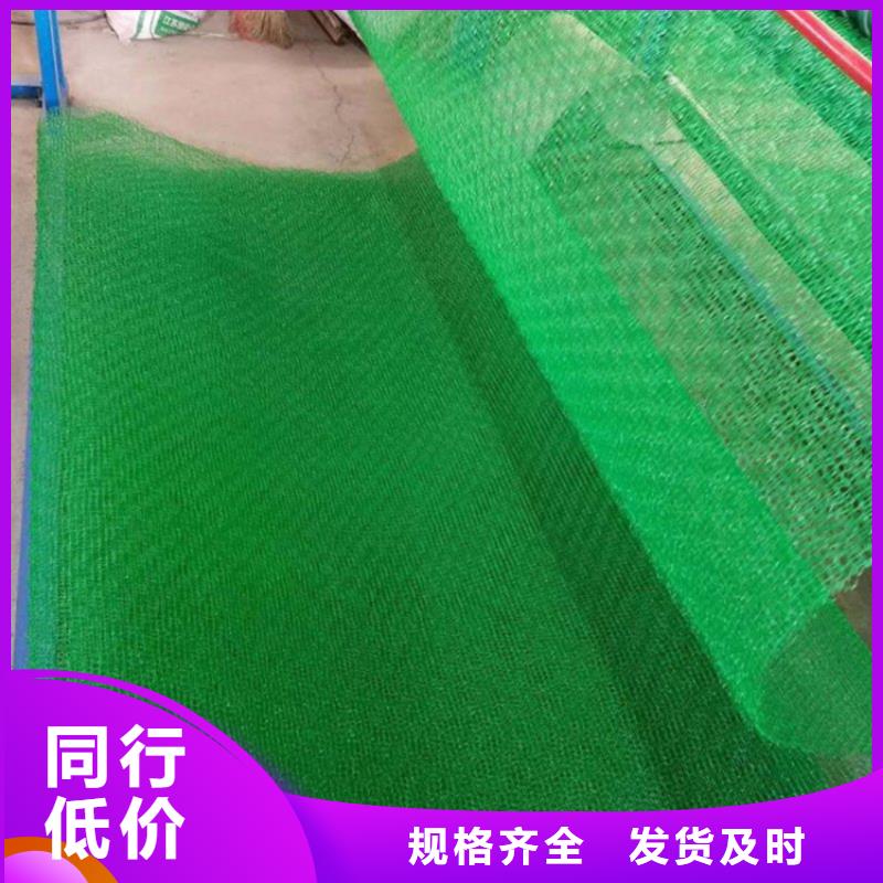 三维植被网【植草格】国标检测放心购买价格公道合理