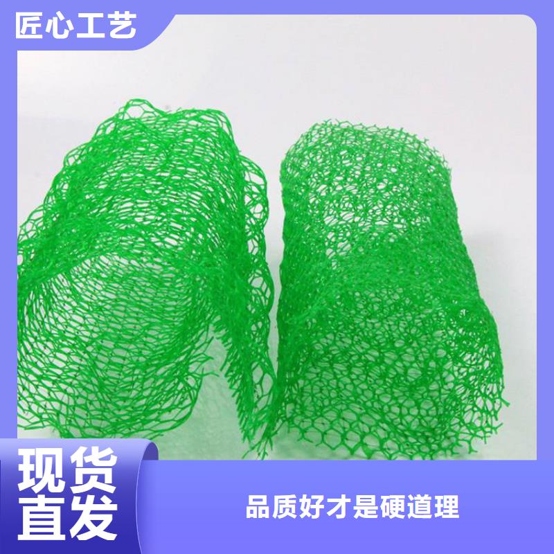 三维植被网HDPE土工膜准时交付N年大品牌