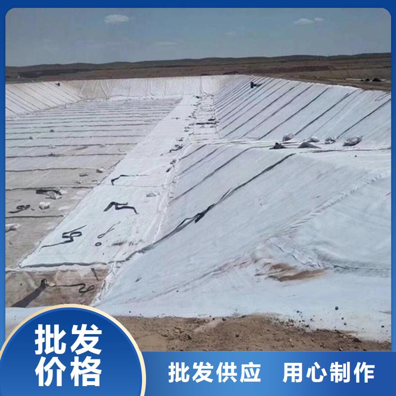 膨润土防水毯,防渗膜口碑好实力强保质保量