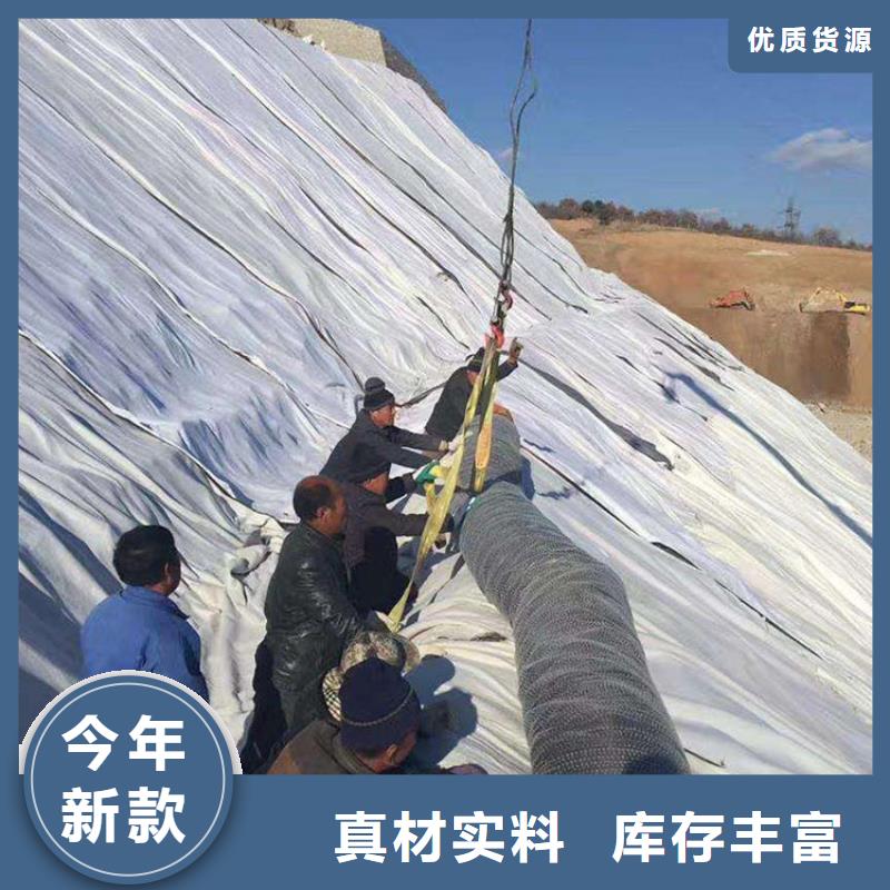 膨润土防水毯防水板质量优价格低标准工艺