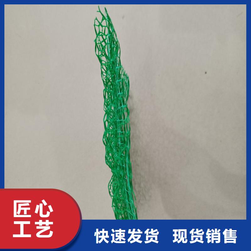 三维植被网-防渗膜现货满足大量采购用心做品质