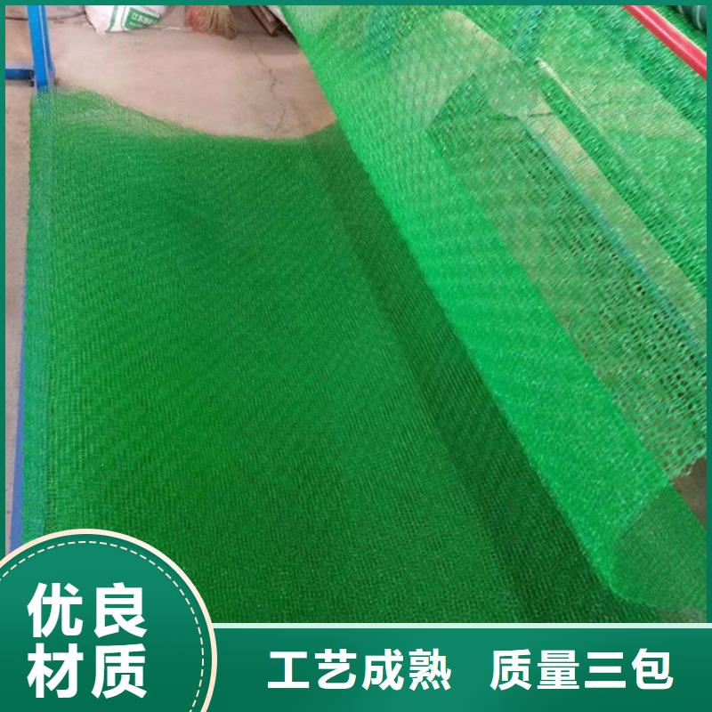 三维植被网_【土工格室】品质服务严格把关质量放心