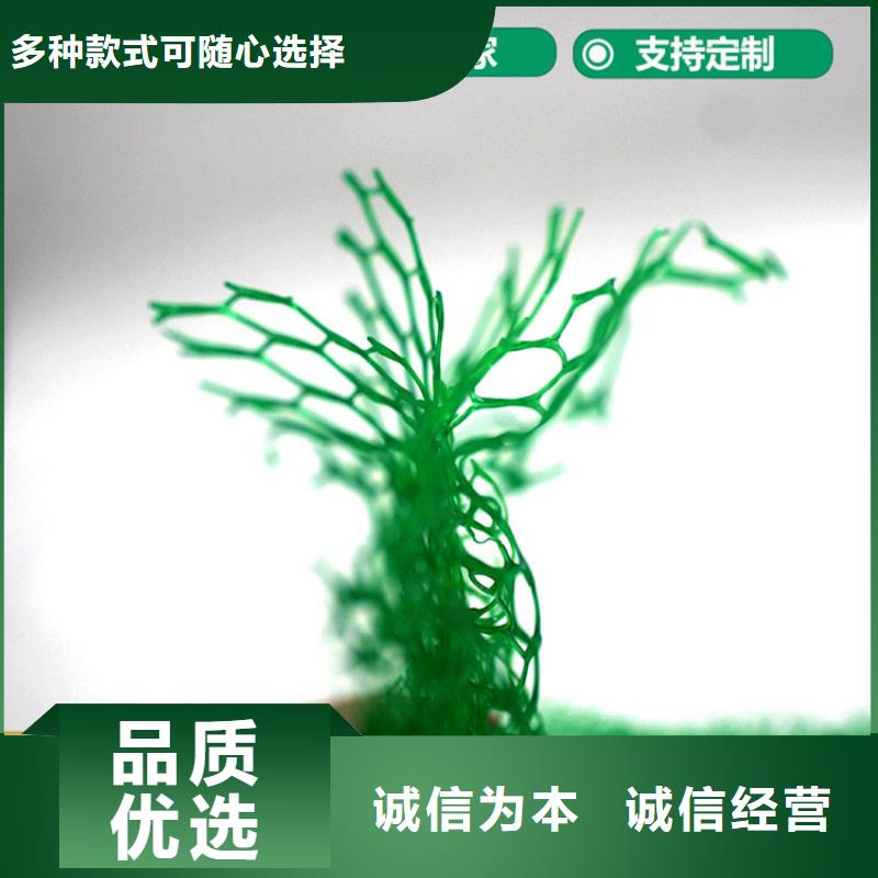 三维植被网-软式透水管层层质检货品齐全